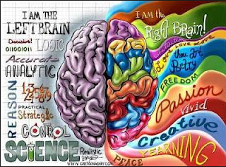 Imagen de un cerebro con sus dos lateralidades